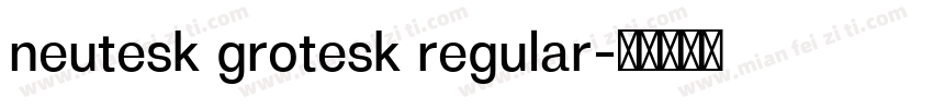 neutesk grotesk regular字体转换